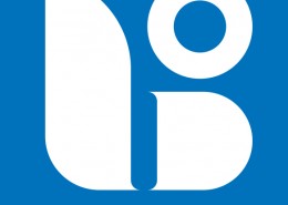 logo borovo