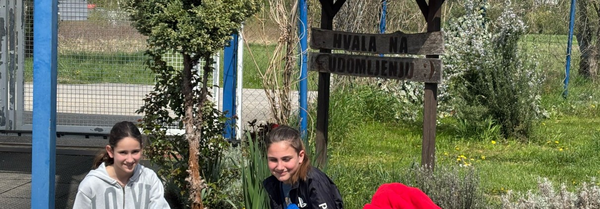 WhatsApp Image 2025-04-25 at 15.04.00