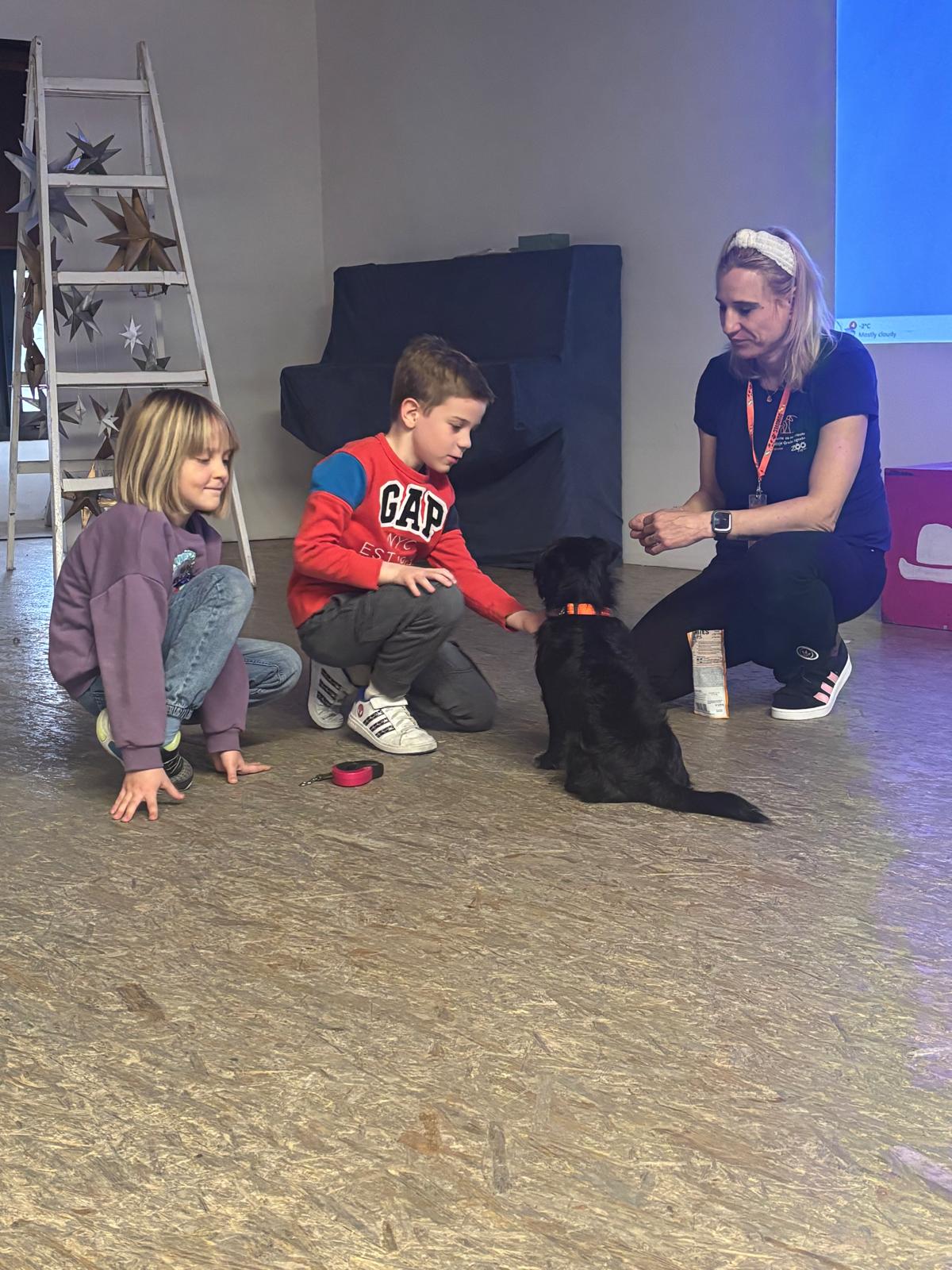 WhatsApp Image 2026-02-15 at 14.56.37